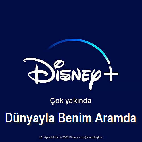 Между миром и мной, новый турецкий сериал 2022 Демет Оздемир  