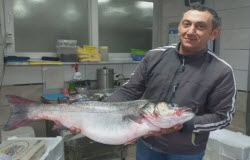 Новости из Турции - Рыбак выловил окуня весом 9 кг в Черном море в Турции